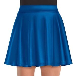 Flare Skirt - Blue
